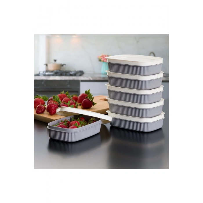 3 Adet  Özel Tasarım Kapaklı Shell Storage Box- Saklama Kabı - Kahvaltılık Seti - 600 ml - GRİ