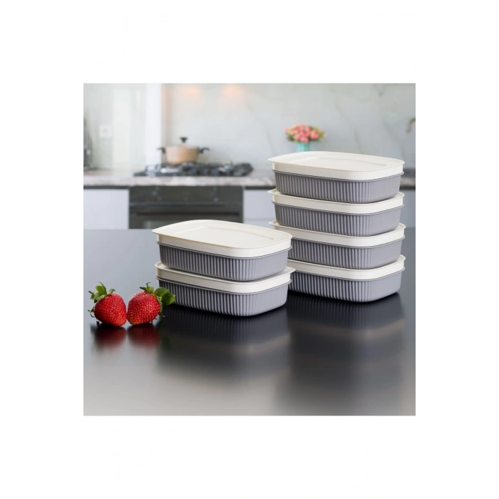 3 Adet  Özel Tasarım Kapaklı Shell Storage Box- Saklama Kabı - Kahvaltılık Seti - 600 ml - GRİ