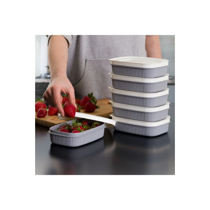 6 Adet  Özel Tasarım Kapaklı Shell Storage Box- Saklama Kabı - Kahvaltılık Seti - 600 ml - GRİ