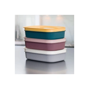 3 Adet  Özel Tasarım Kapaklı Shell Storage Box- Saklama Kabı - Kahvaltılık Seti - 600 ml