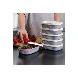 3 Adet  Özel Tasarım Kapaklı Shell Storage Box- Saklama Kabı - Kahvaltılık Seti - 600 ml - GRİ