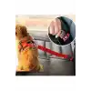 Kedi Köpek Emniyet Kemerli Tasma İpi
