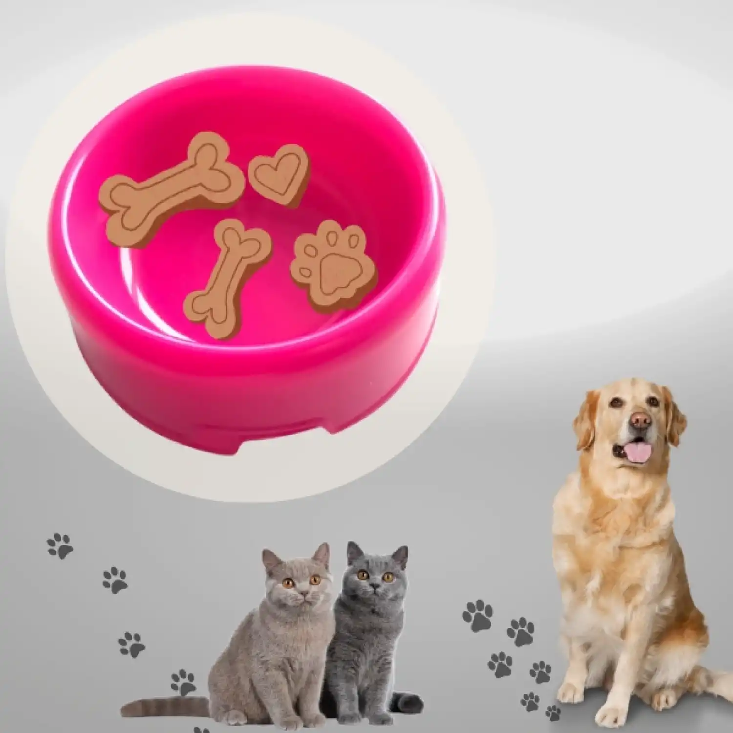 Kedi & Köpek & Tavşan Plastik Mama & Su Kabı