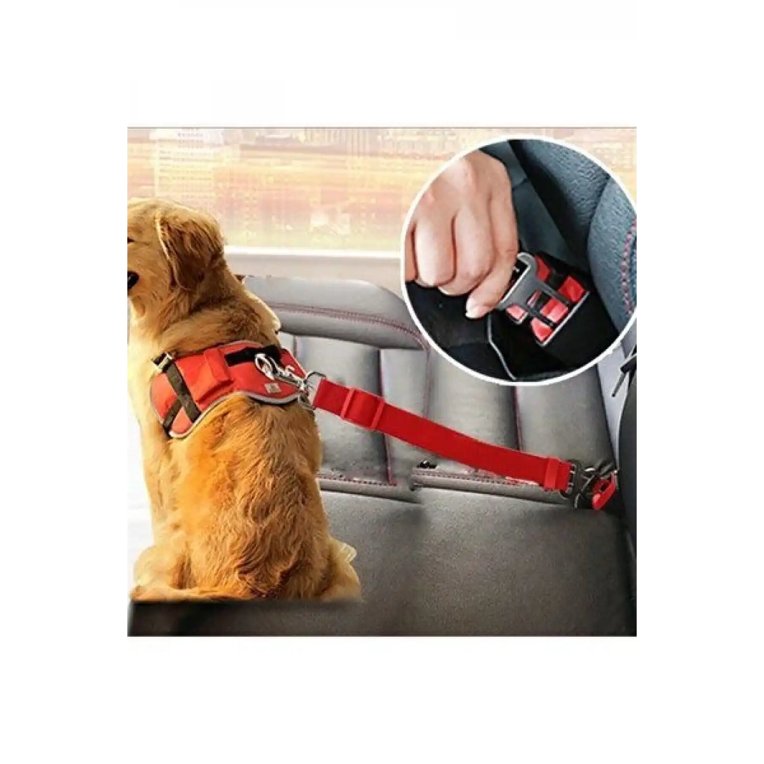 Kedi Köpek Emniyet Kemerli Tasma İpi