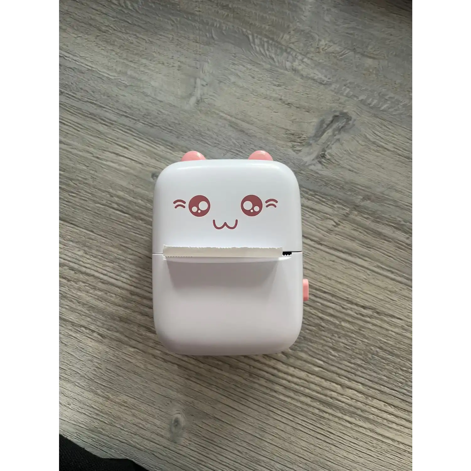 TAŞINABİLİR MİNİ YAZICI