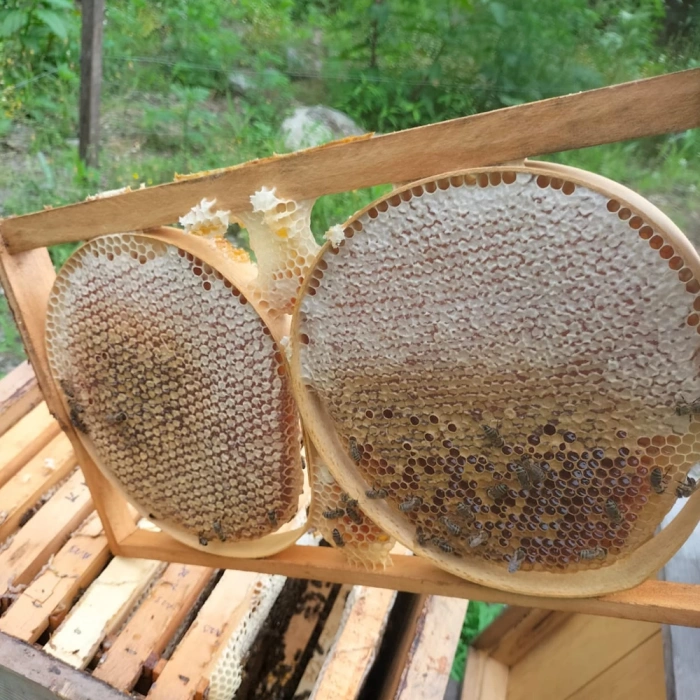 Çerçeve Karakovan Balı (1000 Gr)