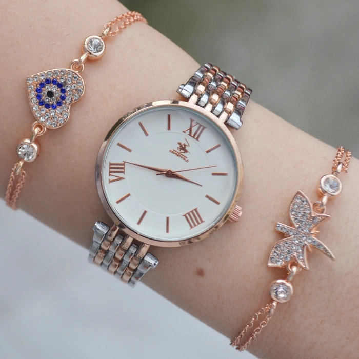 Silver Rose Metal Kordon Kadın Saat Kombini 2194