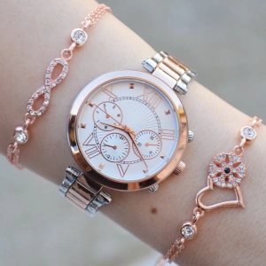 Silver Rose Metal Kordon Kadın Saat Kombini 2824