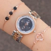 Taşlı Silver Rose Metal Kordon Bayan Saat Kombini 1079