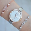 Rose Kasa Silver Metal Kordon Kadın Saat Kombini 1513