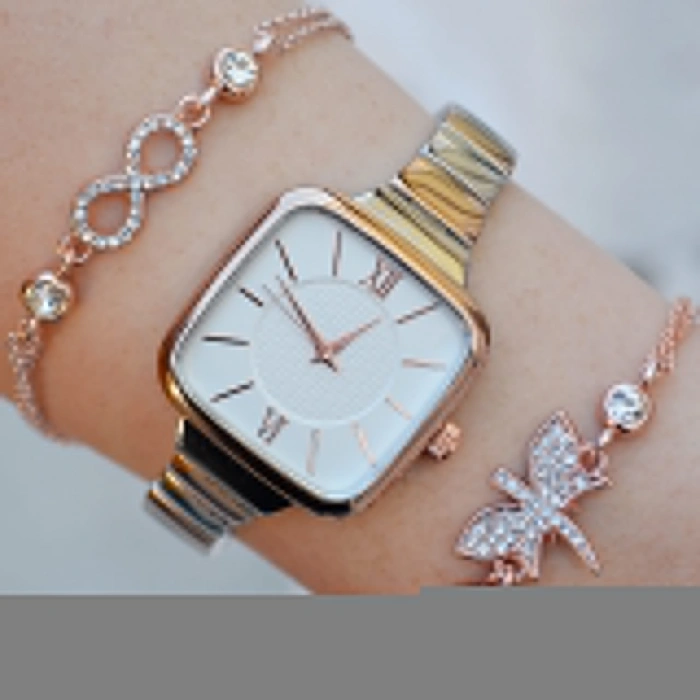 Silver Rose Metal Kordon Kadın Saat Kombini 1025