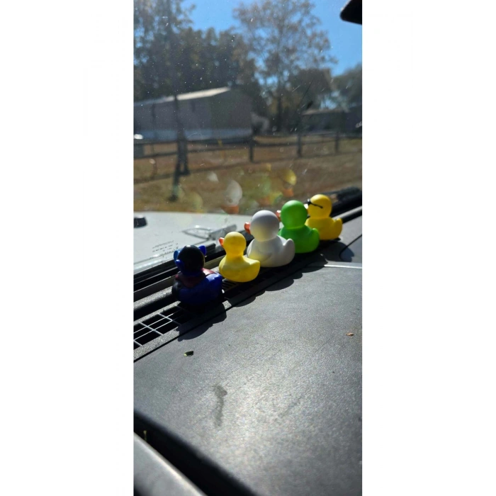 Ördek sibop kapağı 4lü 3d