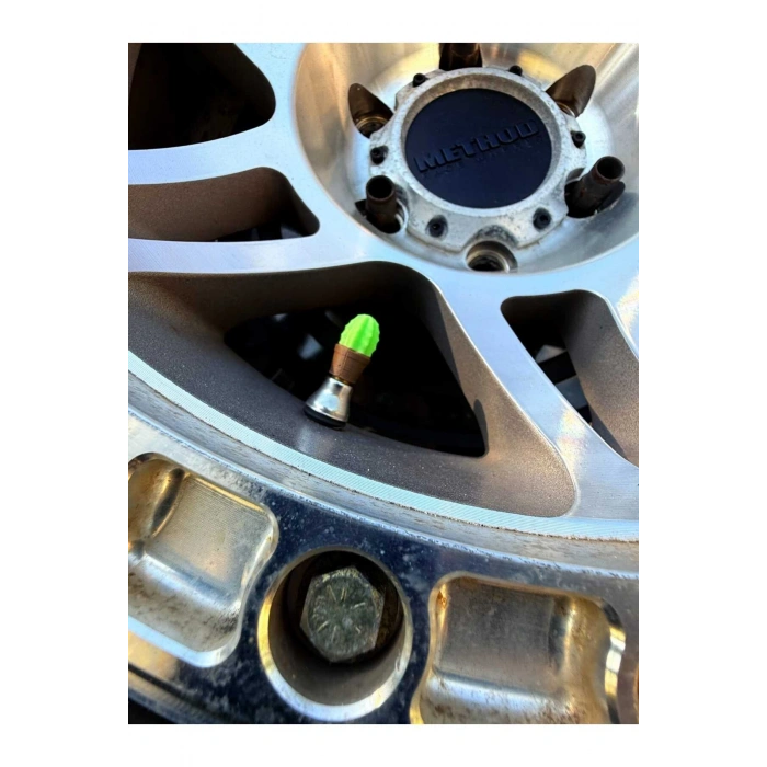 Kaktüs 4lü sibop kapağı