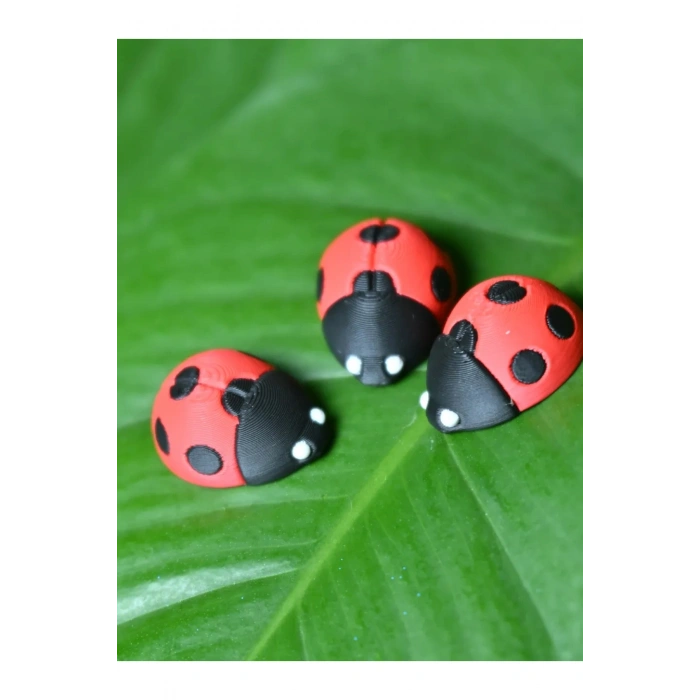 Uğur Böceği Sibop kapağı 4lü