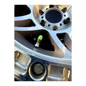 Kaktüs 4lü sibop kapağı