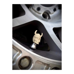 Kuru kafa sibop kapağı 4lü