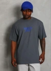 Erkek Baskılı Thirt Kısa Kol Bisiklet Yaka Regular Fit Rahat Kalıp Günlük Tişört  Füme