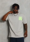 Erkek Baskılı Thirt Kısa Kol Bisiklet Yaka Regular Fit Rahat Kalıp Günlük Tişört  Gri