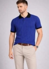 Erkek Polo Yaka Çizgili Tişört Kısa Kol Düğmeli Yazlık Thirt  aks avisi