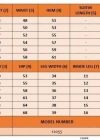 Kadın Kısa Kollu V Yakalı Bluz Ve Kısa hort Ikili Takım