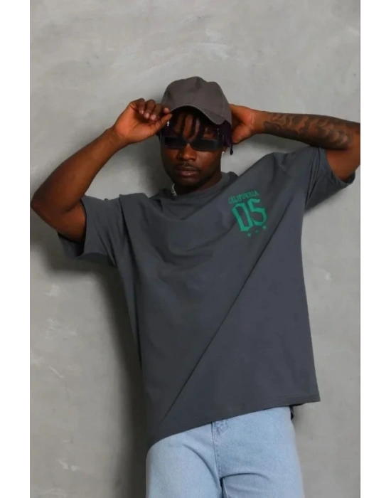 Erkek Baskılı Thirt Kısa Kol Bisiklet Yaka Regular Fit Rahat Kalıp Günlük Tişört  Füme