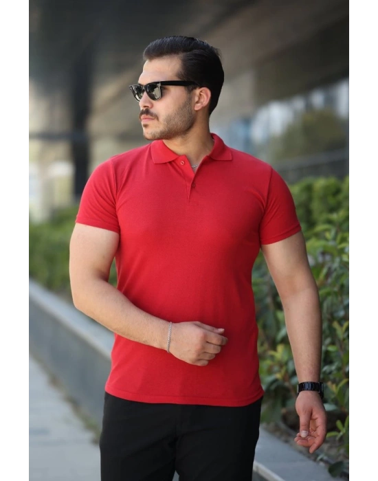 Erkek Kısa Kollu Yakalı Tişört