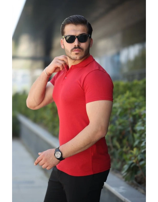 Erkek Kısa Kollu Yakalı Tişört