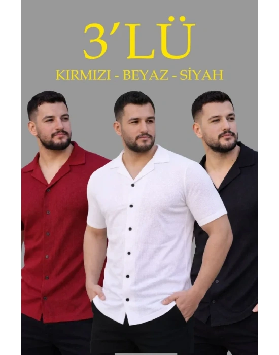 Erkek Waffle Dokuma Açık Yakalı Düğmeli Regular Kalıp 3’lü Gömlek eti  iyah, Kırmızı, Beyaz