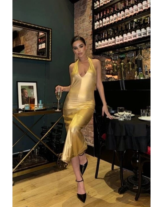 Felicia Sırt Dekolteli Elbise 258308