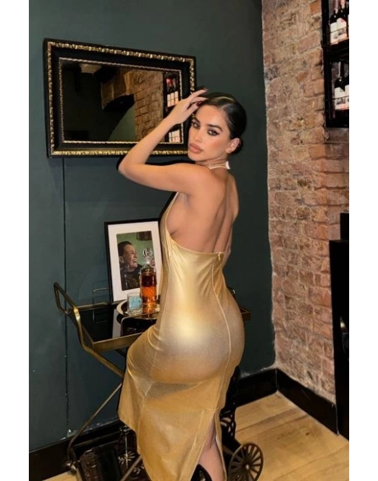 Felicia Sırt Dekolteli Elbise 258308