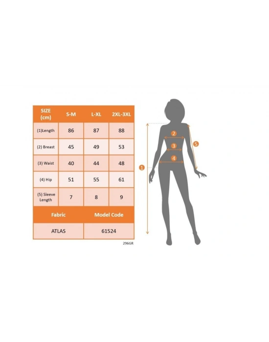 Kadın Kısa Gül Detaylı Kollu Bisiklet Yaka Cepli Mini Atlas Elbise