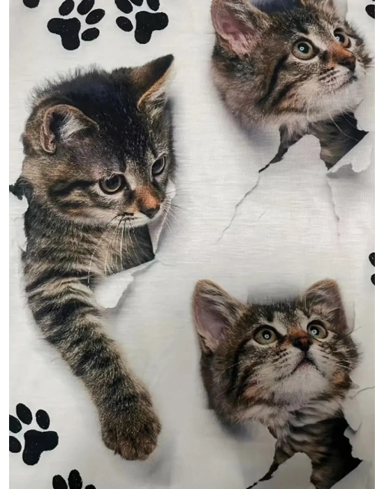 Kadın Kısa Kollu Kedi Ve Pati Baskılı Süprem Tshirt