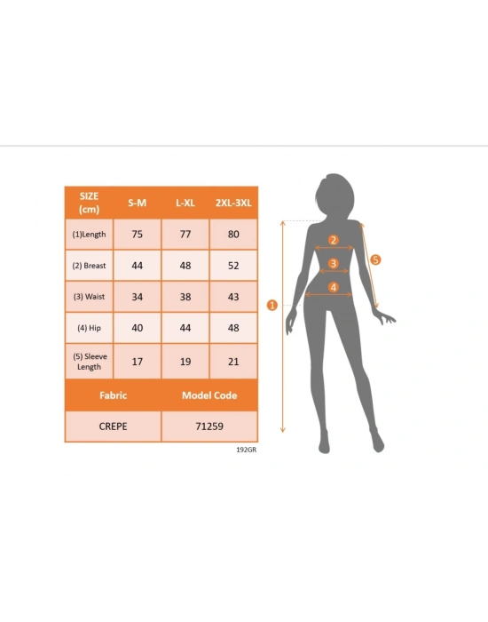 Kadın Kısa Kollu Yarı Balıkçı Yaka Tül Detaylı Kısa Janjan Krep Elbise
