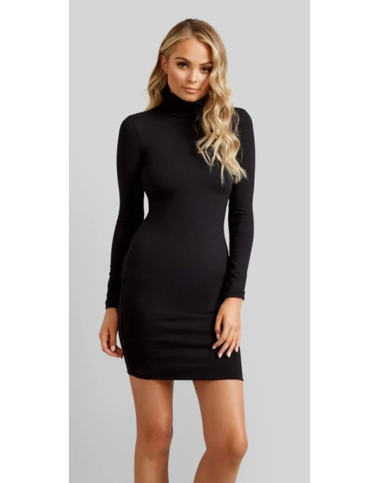 Kadın Uzun Kollu Balıkçı Yaka Elbise