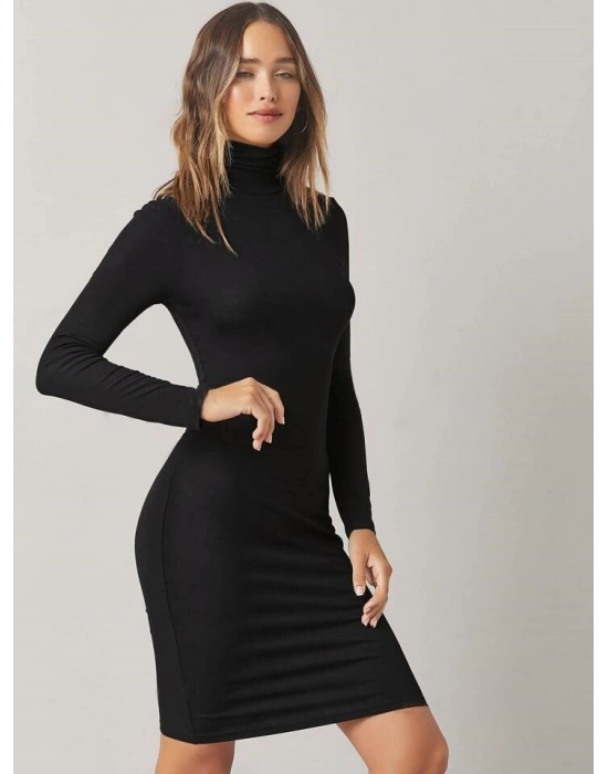 Kadın Uzun Kollu Balıkçı Yaka Elbise