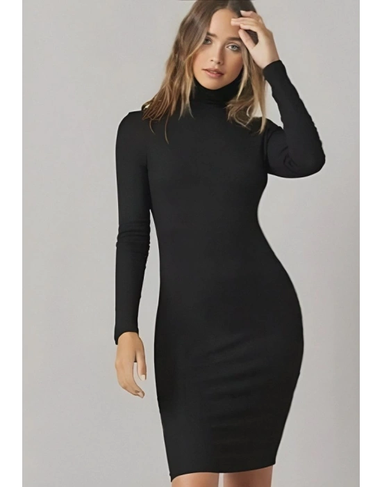 Kadın Uzun Kollu Balıkçı Yaka Elbise