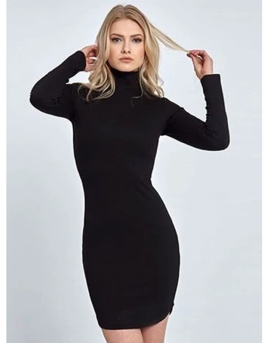 Kadın Uzun Kollu Balıkçı Yaka Elbise