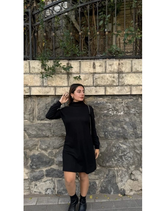 Kadın Uzun Kollu Balıkçı Yaka Kısa şardonlu Kaşkorse Elbise