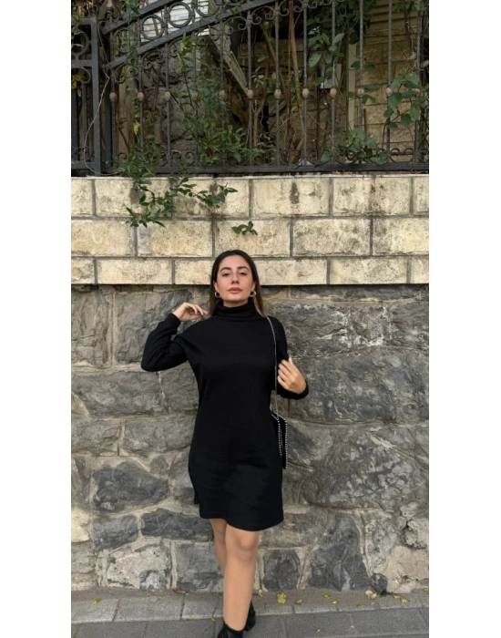 Kadın Uzun Kollu Balıkçı Yaka Kısa şardonlu Kaşkorse Elbise