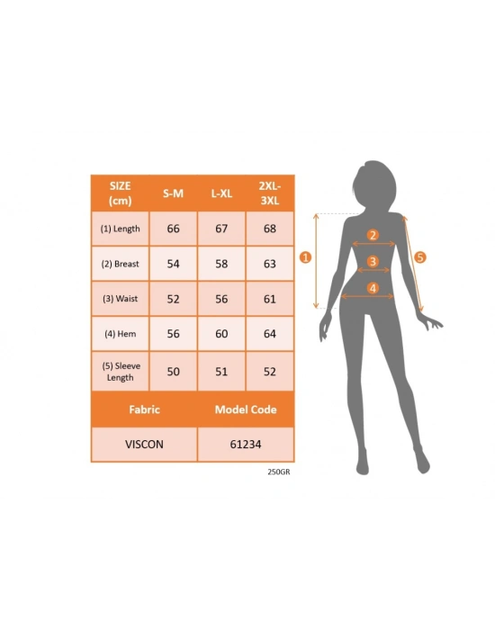 Kadın Uzun Kollu Balıkçı Yaka Omuz Pencere Detay Viskon Bluz
