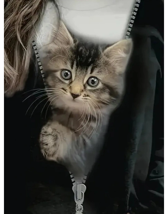 Kadın Uzun Kollu Bisiklet Yaka Kedi Baskılı şardonlu Dalgıç Bluz