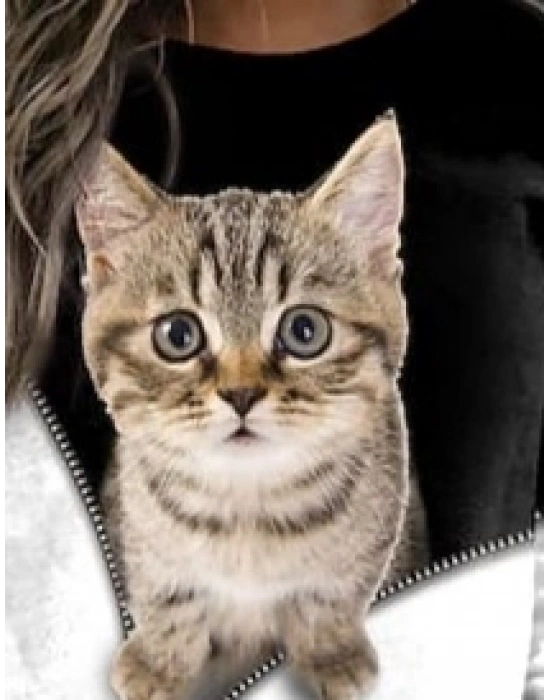 Kadın Uzun Kollu Bisiklet Yaka Kedi Baskılı şardonlu Dalgıç Bluz