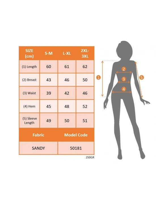 Kadın Uzun Kollu Omuz Dekolte Ve Taş Detaylı Degaje Tüllü Yaka Sandy Bluz