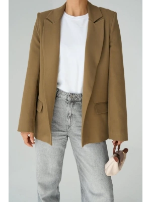 Astarı Çizgili Ceket  Vizon