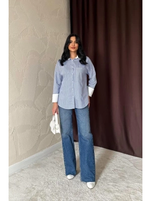 avi Çizgili Poplin Uzun Kol Gömlek