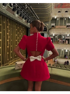 Kadın Atlas Kumaş Iç Astarlı Gizli Fermuarlı Inci Düğme Detaylı ini Elbise