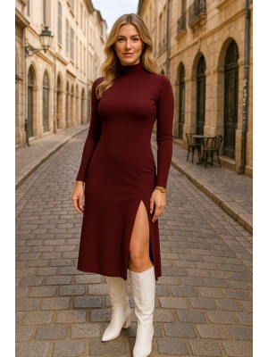 Kadın Uzun Kollu Balıkçı Yaka Derin Yırtmaç Detay Krep Elbise