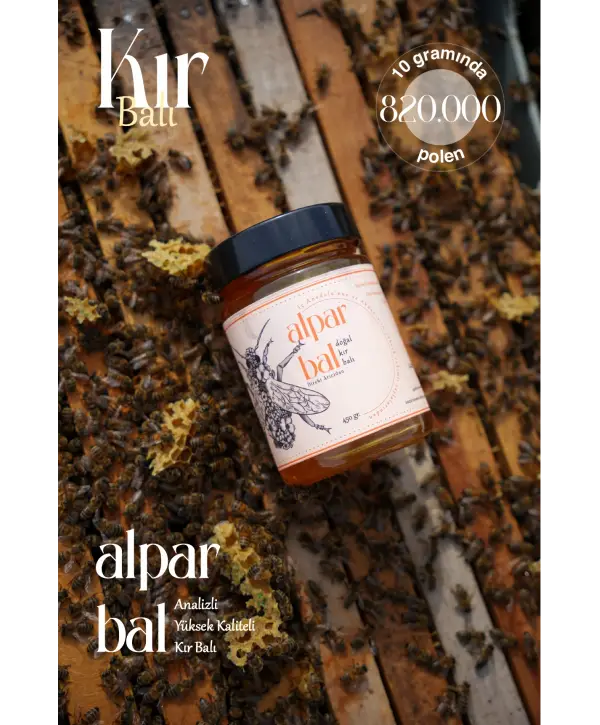 Ham Kır Balı 450 GR