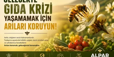 Gıda Krizini Önlemenin Anahtarı: Arıları Korumak Neden Hayati?