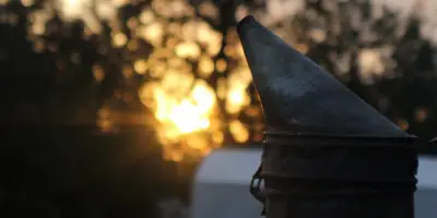 Çörekotlu Bal ile Bağışıklık Bombası Tarifi